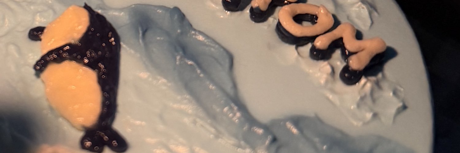 𝗉.ꜱᴏʀʙᴇᴛ ∞ ◡̈'s banner