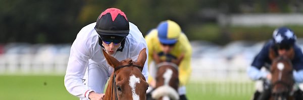 Syndicates.Racing's banner