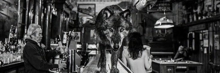 The Wolf of Main Street's banner
