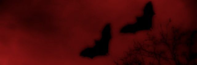 ꯱ׁׅ֒'s banner