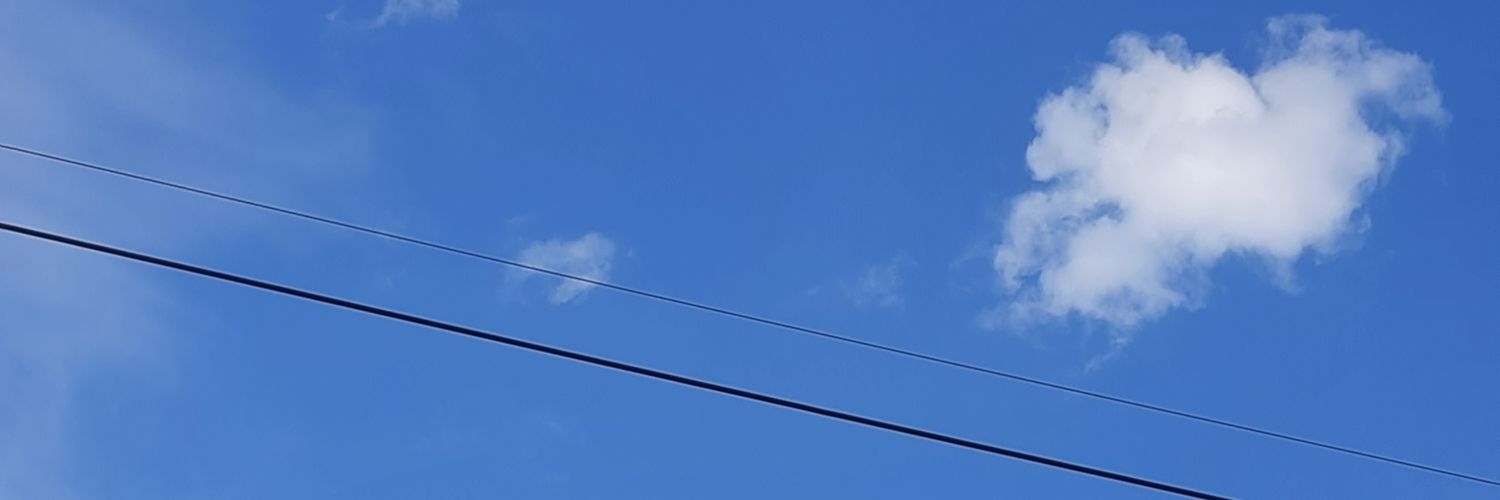 lira's banner