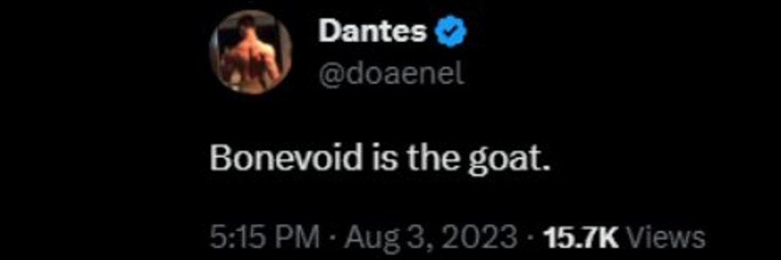 bonevoid's banner