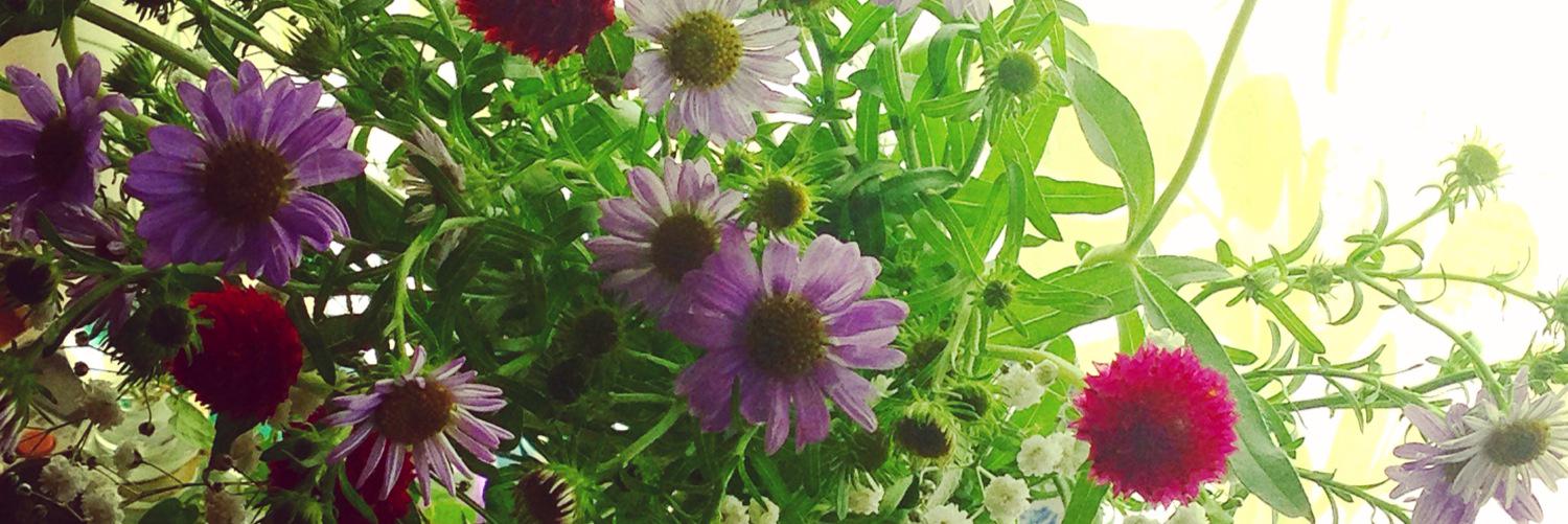 えかきやたま's banner