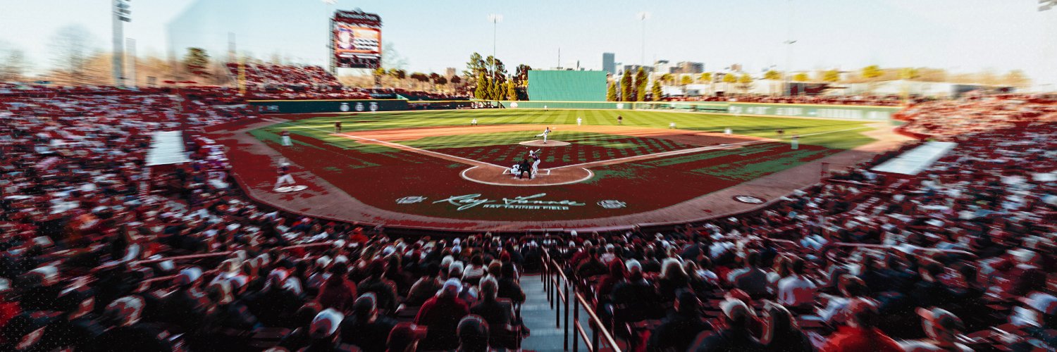 South Carolina Baseball's banner