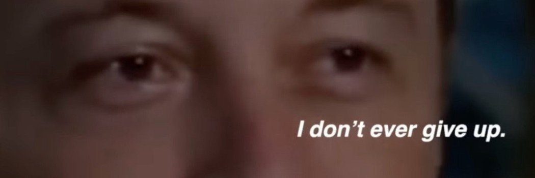 rohan's banner