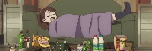 Frug's banner