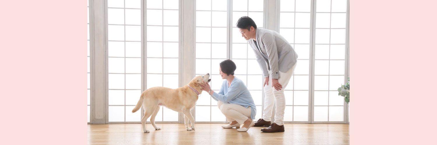 松田みき🦮NHKから国民を守る党🇯🇵's banner