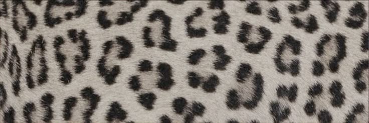 ⋆'s banner