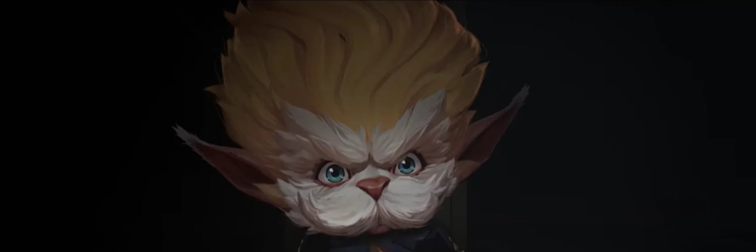 Monsieur Yordle 📊's banner