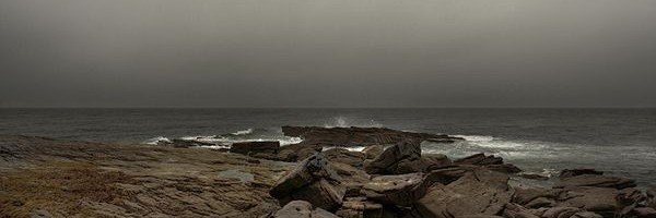 Alexey,'s banner