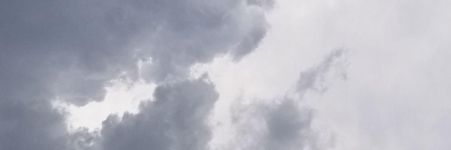 Buster Nutt's banner