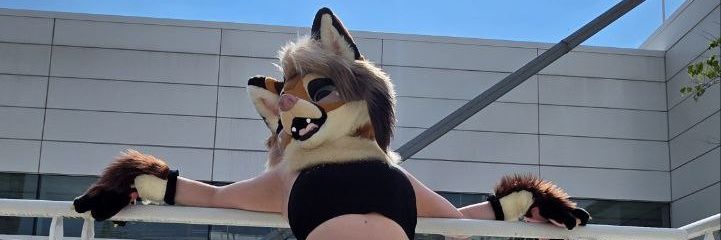 Fawn's banner