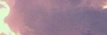 你在干什猫's banner