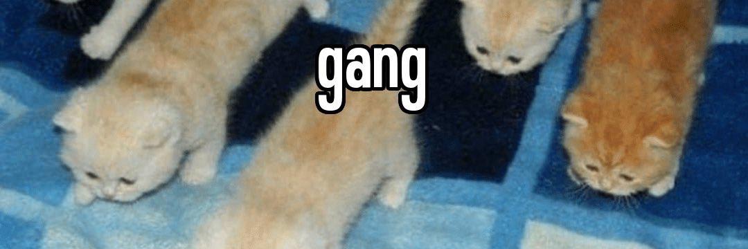 Better Than Stick ▹ ◇ ◃'s banner