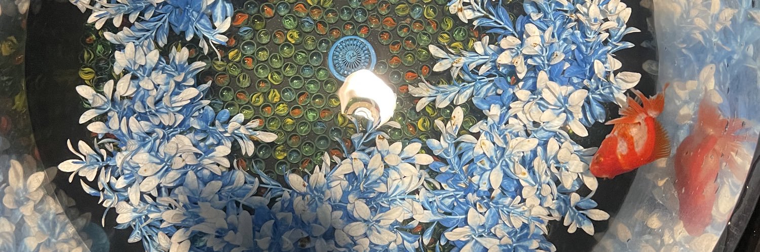 zilansedewu（互fo）'s banner