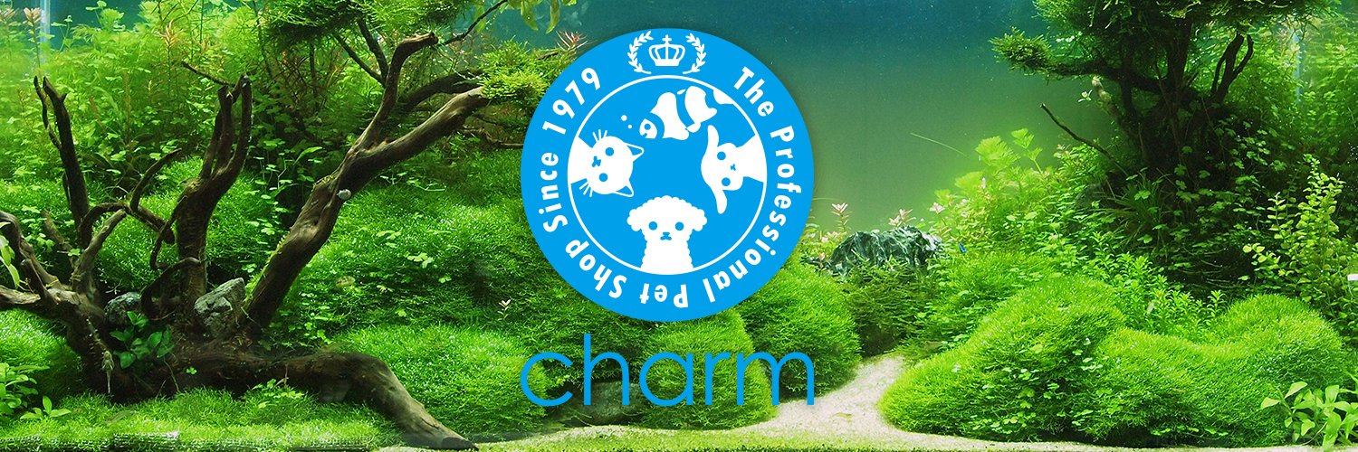 【水草・水生植物】チャーム公式's banner