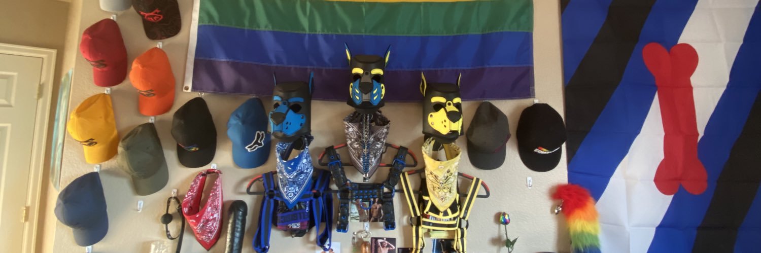 Pup Hylas @puphylas787.bsky.social's banner