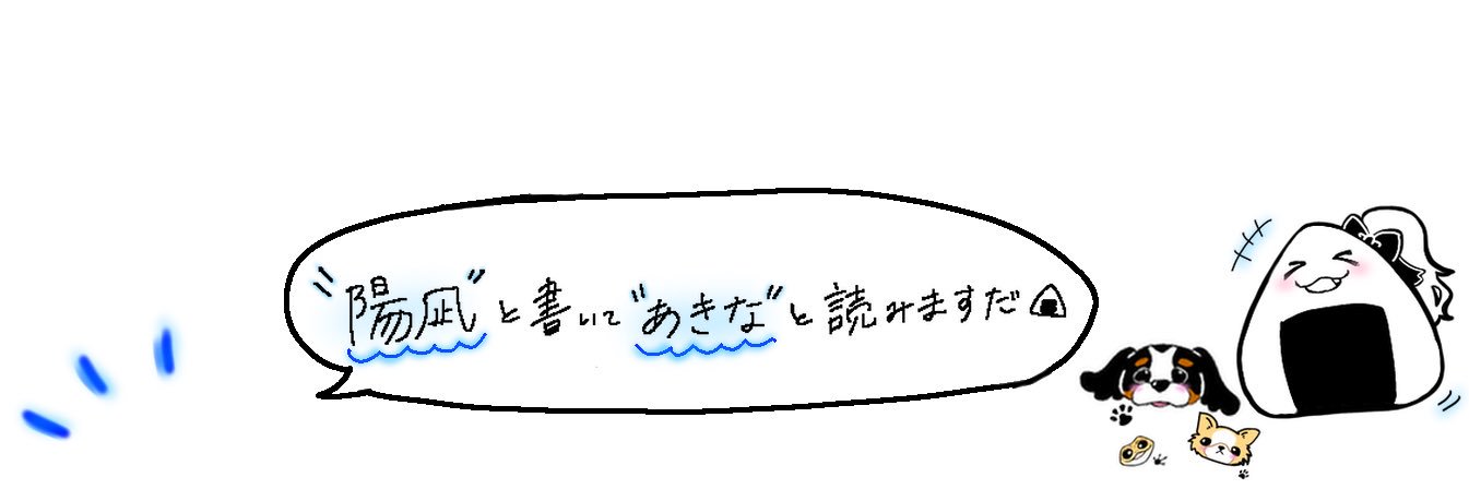 増田陽凪🍙Ringwanderung's banner