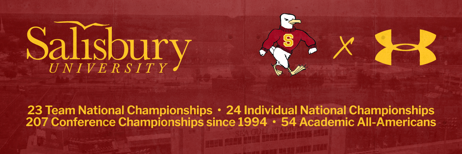 Salisbury Athletics's banner