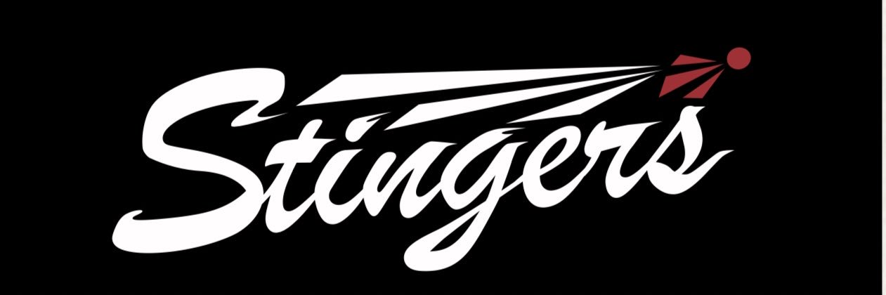 JTEKT-Stingers's banner