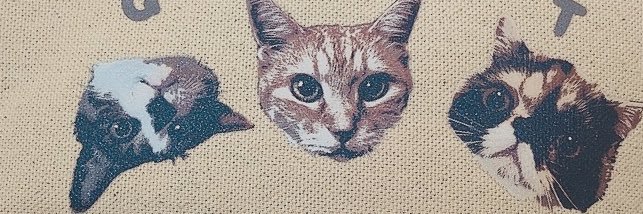 あやめっち's banner