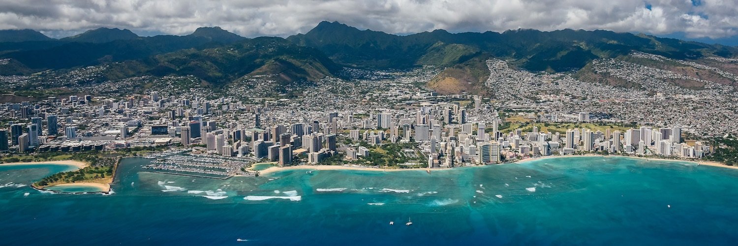 🕊🌴🌴pupHawaii 🌴🌴🕊's banner