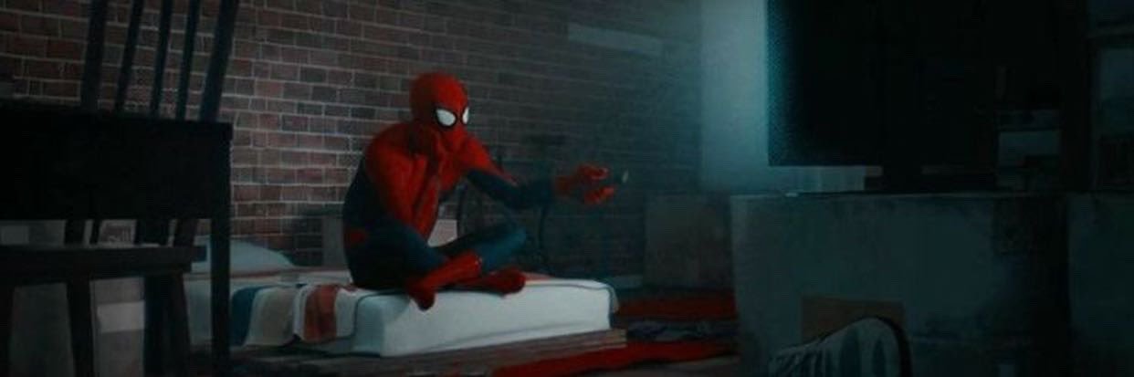 غدي 🕷️'s banner