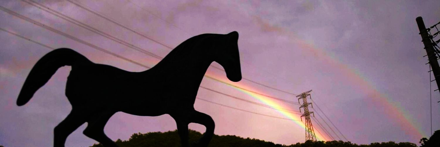 Horse Space 紡◆クラファンありがとうございました！紡っ子マンスリーサポーター随時募集中◆'s banner
