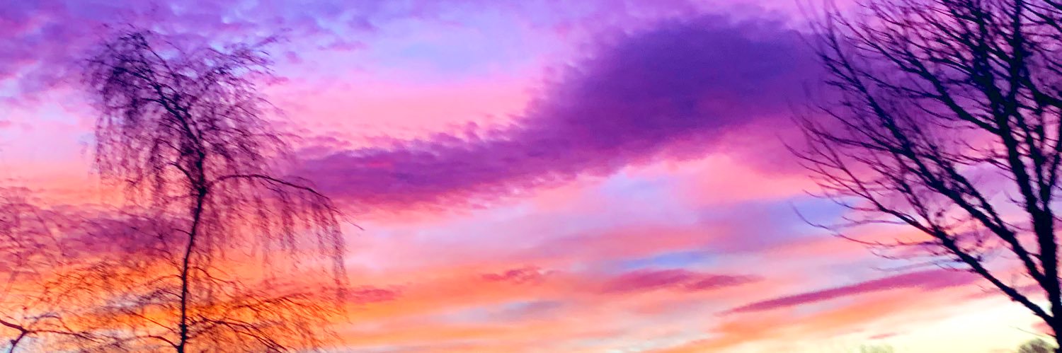 Eva Silver's banner
