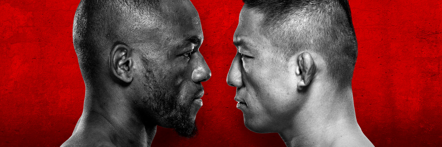 UFC Brasil's banner