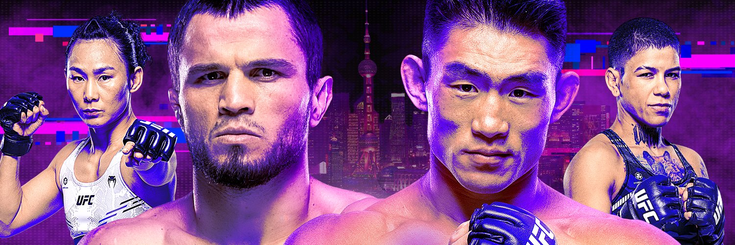 UFC Brasil's banner