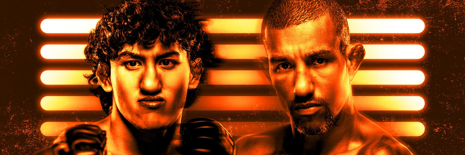 UFC Brasil's banner