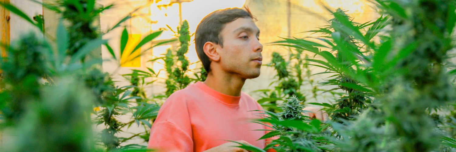 House of Weed's banner