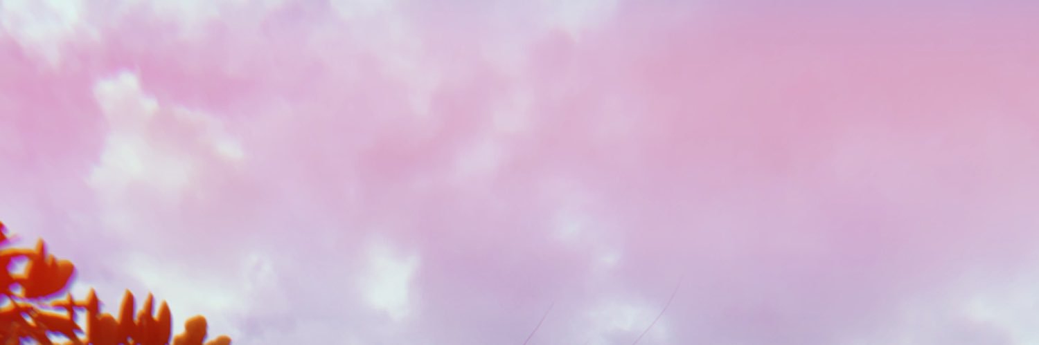 LN's banner