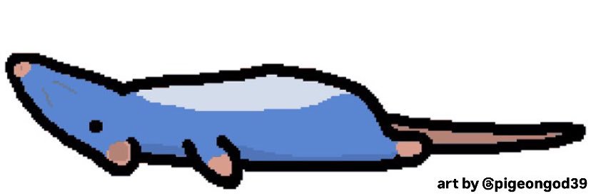 produnova's shaved eyebrow's banner