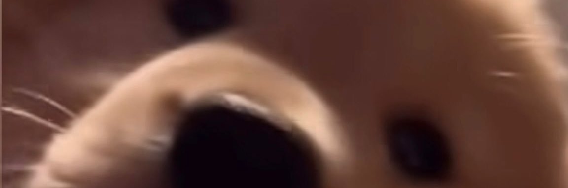U's banner