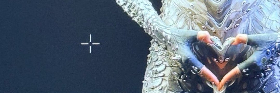 T's banner