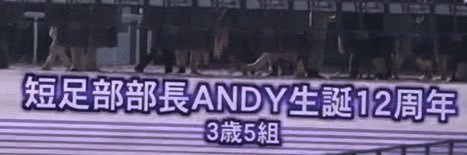 コーギー短足部(部長)'s banner