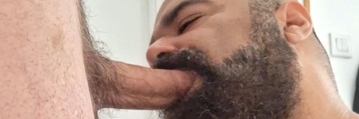 bearded cock lover's banner