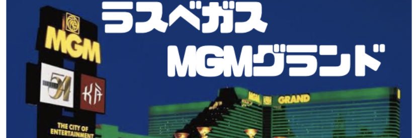 シュガーレイ🥊ボクシングとSaaS営業's banner