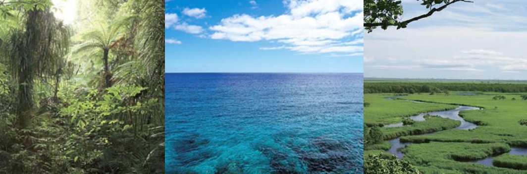 外務省　地球環境課(MOFA Japan ✕ Environment)'s banner