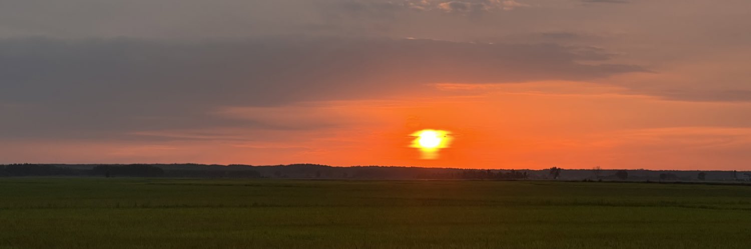 GoW799's banner