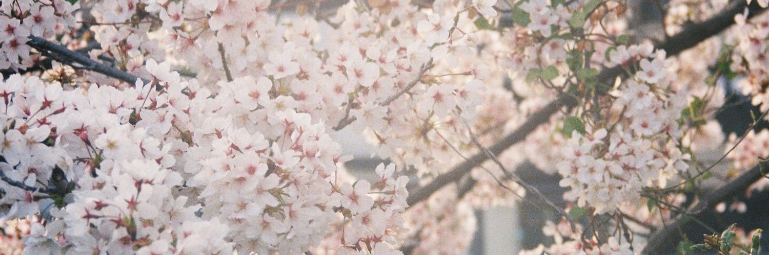 紫音shion(しおん)'s banner