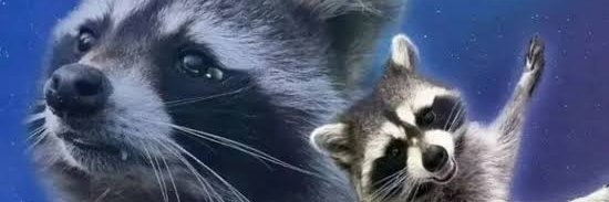 eric🦝's banner
