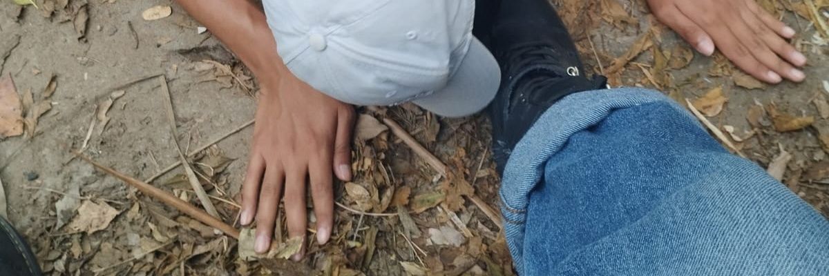 ShimoWedgie's banner