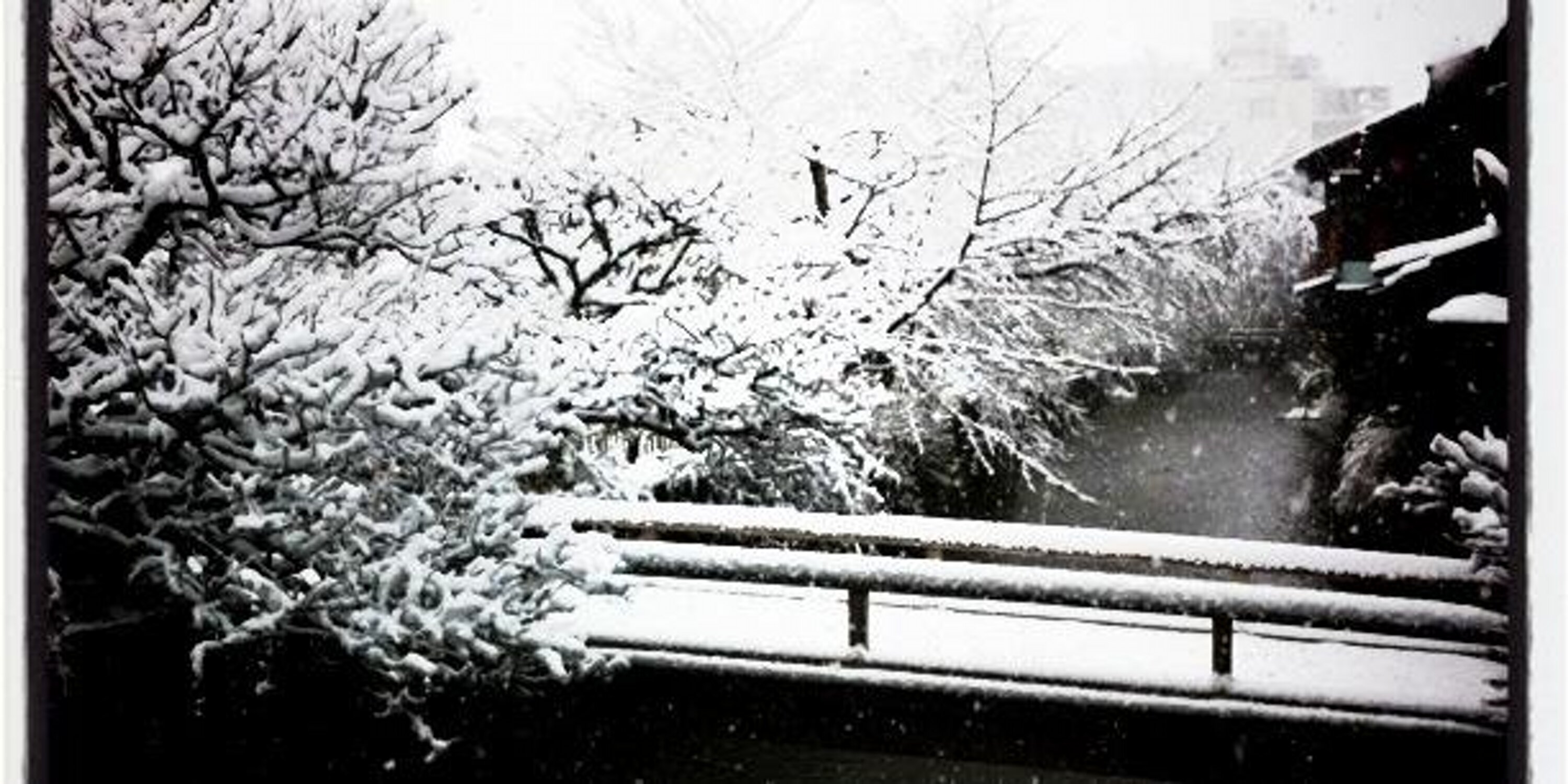 山口純平's banner