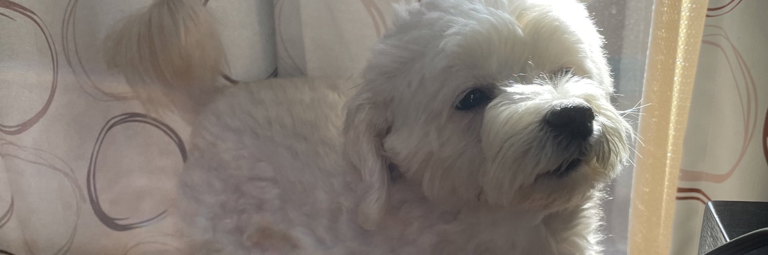 Betty【αD】's banner