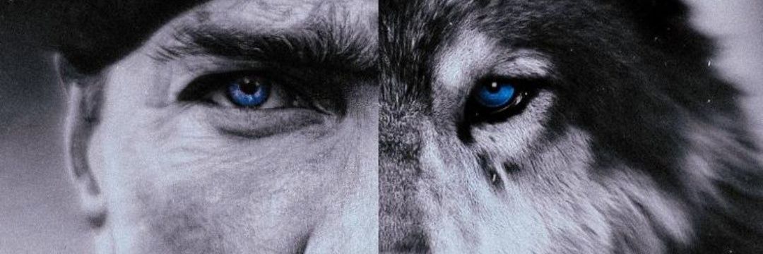 ༒︎ᴜɢ̆ᴜʀ¹²⁸³'s banner