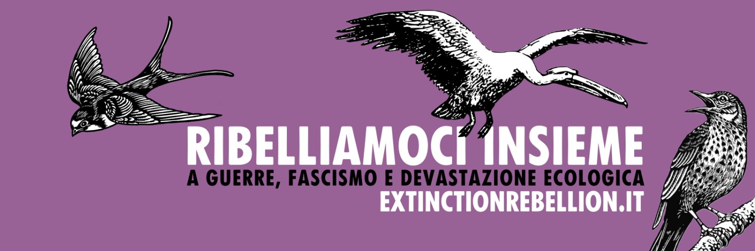 Extinction Rebellion Italia's banner