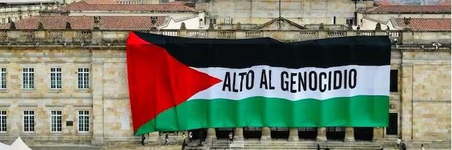 Zizou Misak's banner